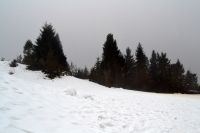 151 Szczawnica 28.02 - 01.03.2015 r.